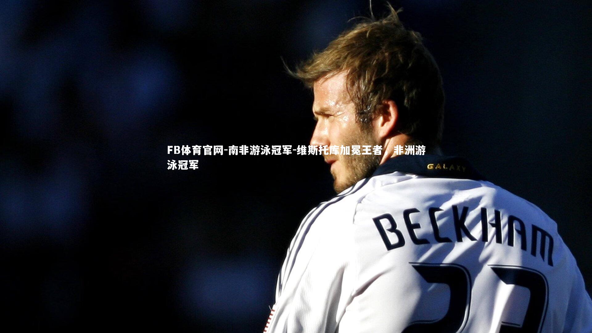 南非游泳冠军-维斯托库加冕王者,非洲游泳冠军