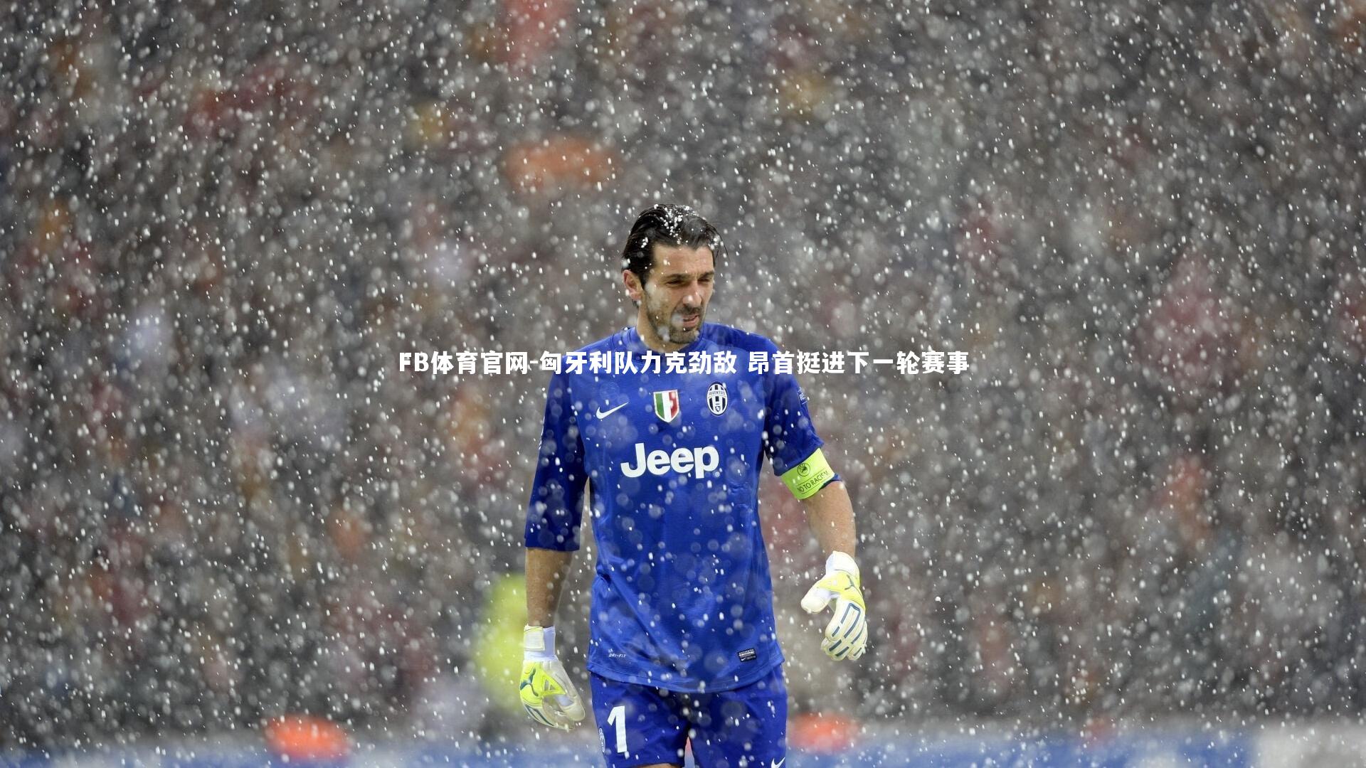 FB体育官网-匈牙利队力克劲敌 昂首挺进下一轮赛事